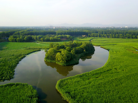 汉石桥湿地公园