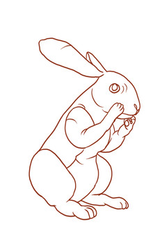卡通兔子線稿