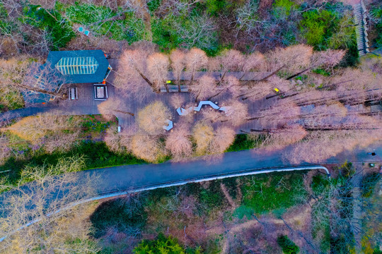 青岛中山公园