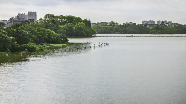 惠州西湖风景