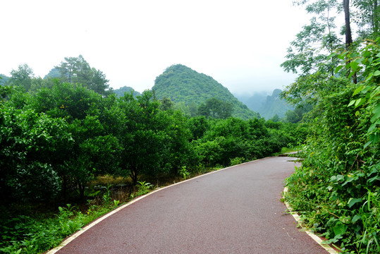 山村步道