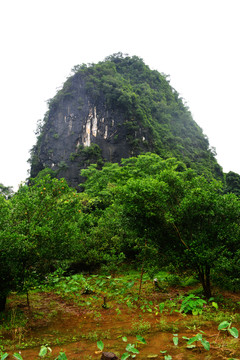 大岩山