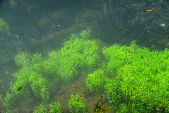 水底风光