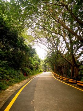 登山绿道