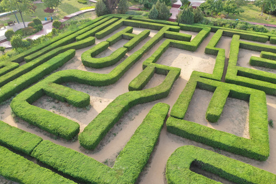青岛城阳植物迷宫迷宫花园