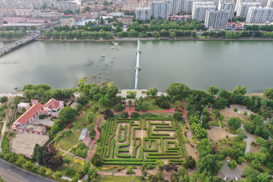 青岛城阳植物迷宫迷宫花园