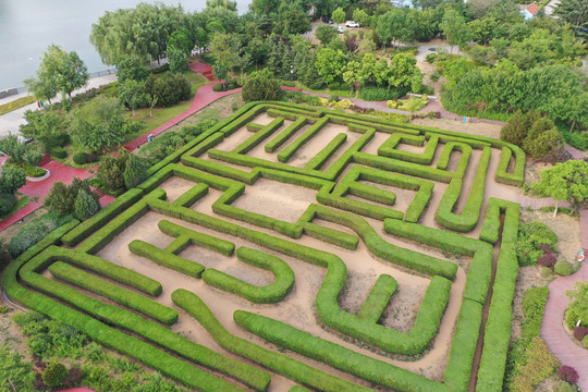 青岛城阳植物迷宫迷宫花园