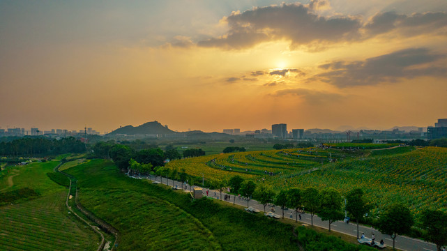 深圳光明小镇欢乐田园