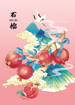 石榴手繪海報(bào)