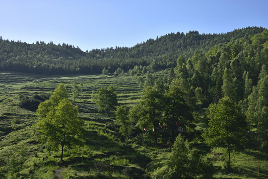 蓝天白云青山绿树