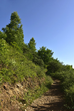 山间小路