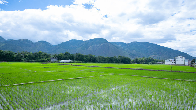 剑川县