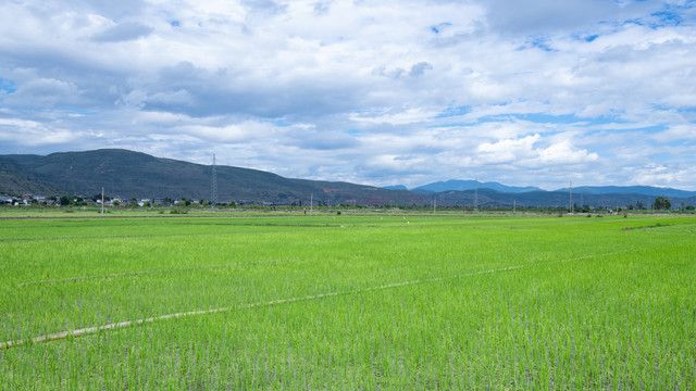 剑川县