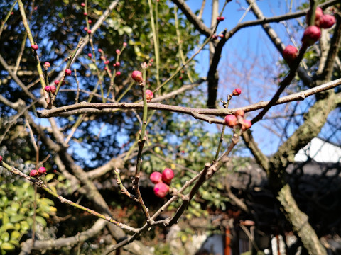 西湖郭庄