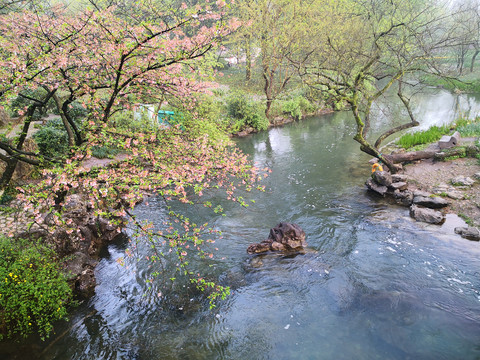 西湖太子湾