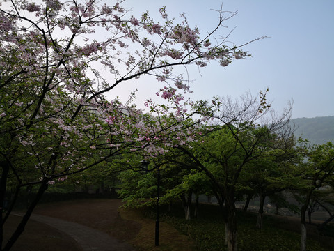 西湖太子湾