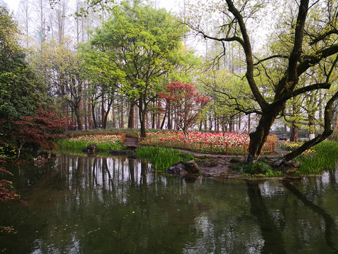 西湖太子湾