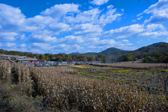 东北田园