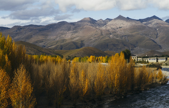 青藏高原的河流山川树林