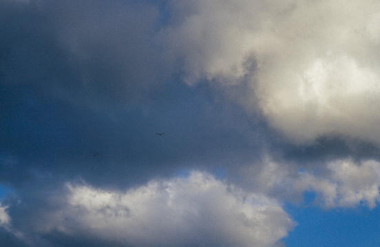 云南大理的云和鸟