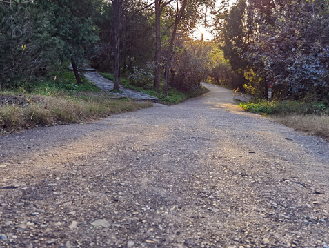 山间小路