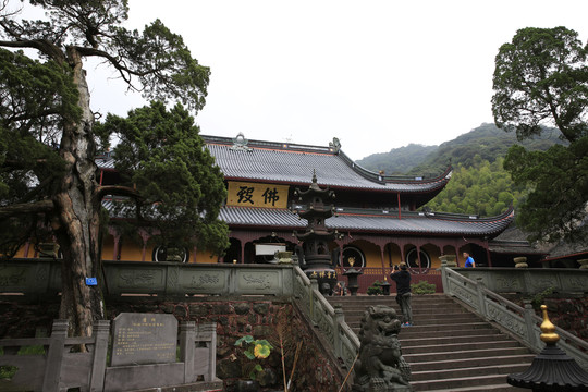 阿育王寺