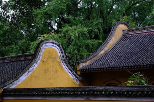 阿育王寺