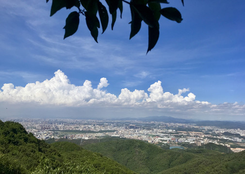 大岭山森林公园