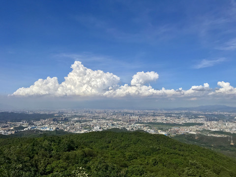 大岭山森林公园茶山顶风景