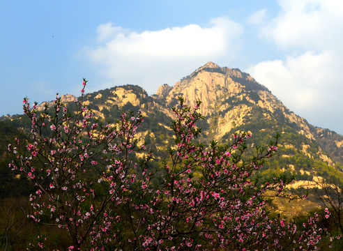 山花烂漫