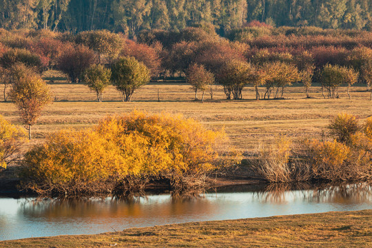 秋季河流树林树丛