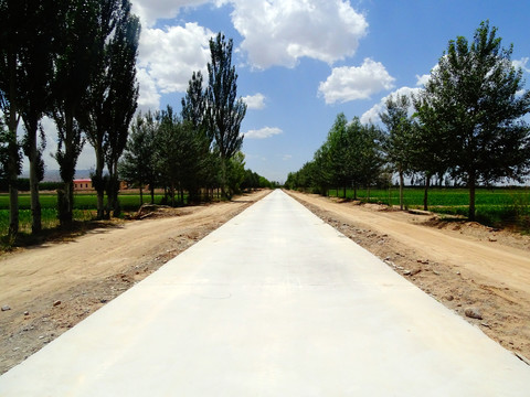 田园公路