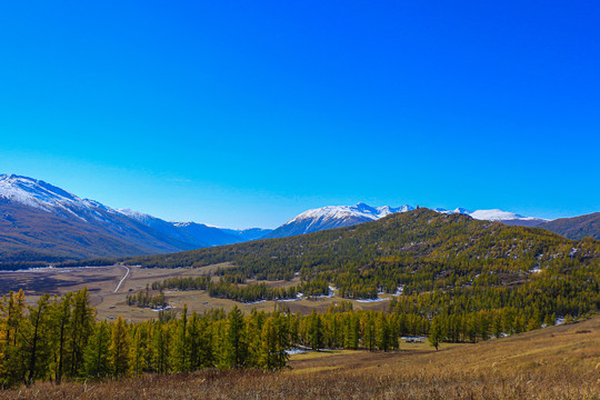 喀纳斯秋景