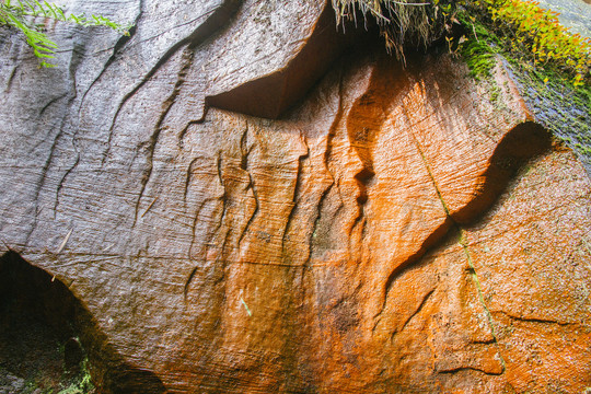 蜀南竹海的多彩岩石