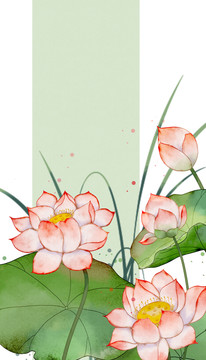 古風(fēng)蓮花插畫(huà)