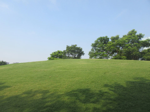 公園草坪