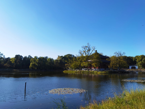 北京圆明园遗址公园风光