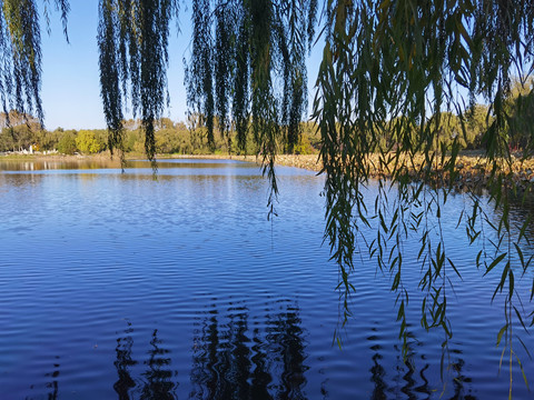 北京圆明园遗址公园湖景风光