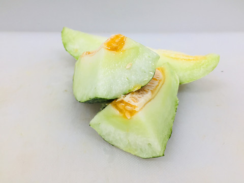 博洋9號