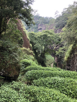 山间小道