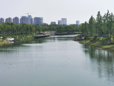 城市园林景观上海之鱼