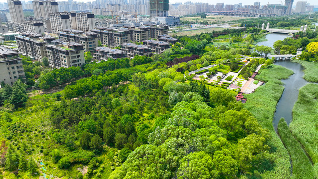 潍坊城市风光