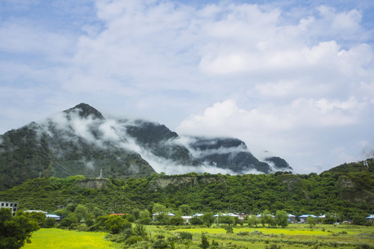 林芝田园风光