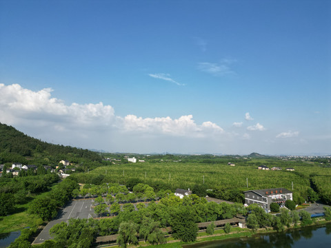 雙溪竹海