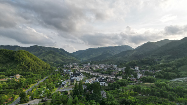 禅茶村