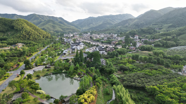 禅茶村