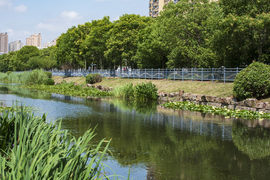 城市景观河道