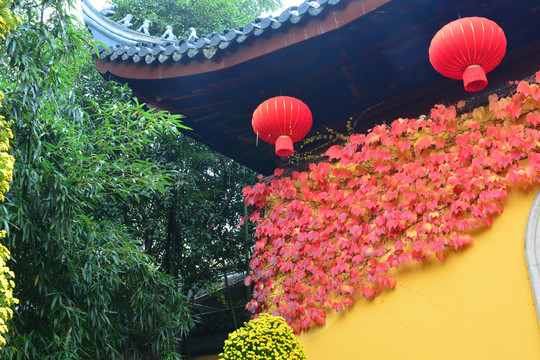 寺庙屋檐红灯笼与红叶及竹叶