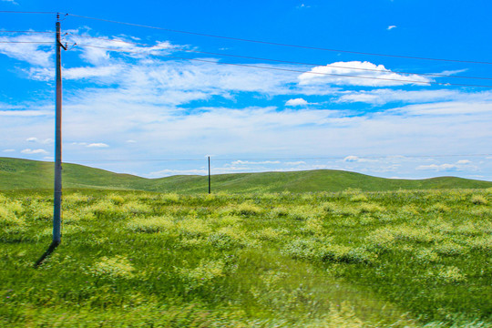 格根塔拉草原