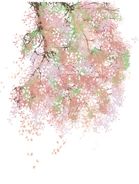 開花的樹